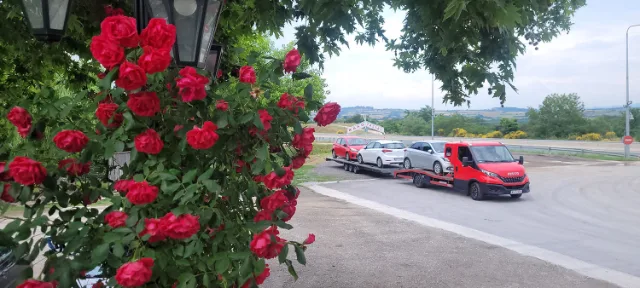 Autotransport von Griechenland nach Polen